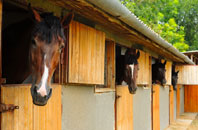 free Llanglydwen stable construction quotes